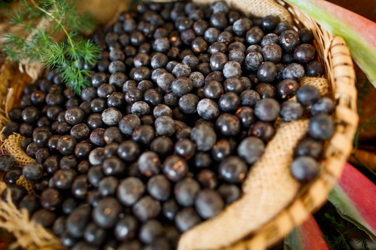 Dried purple flower petals ingredient